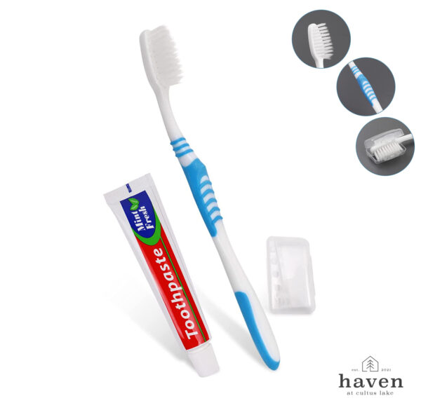 Travel Toothbrush and Toothpaste (Set of 1)